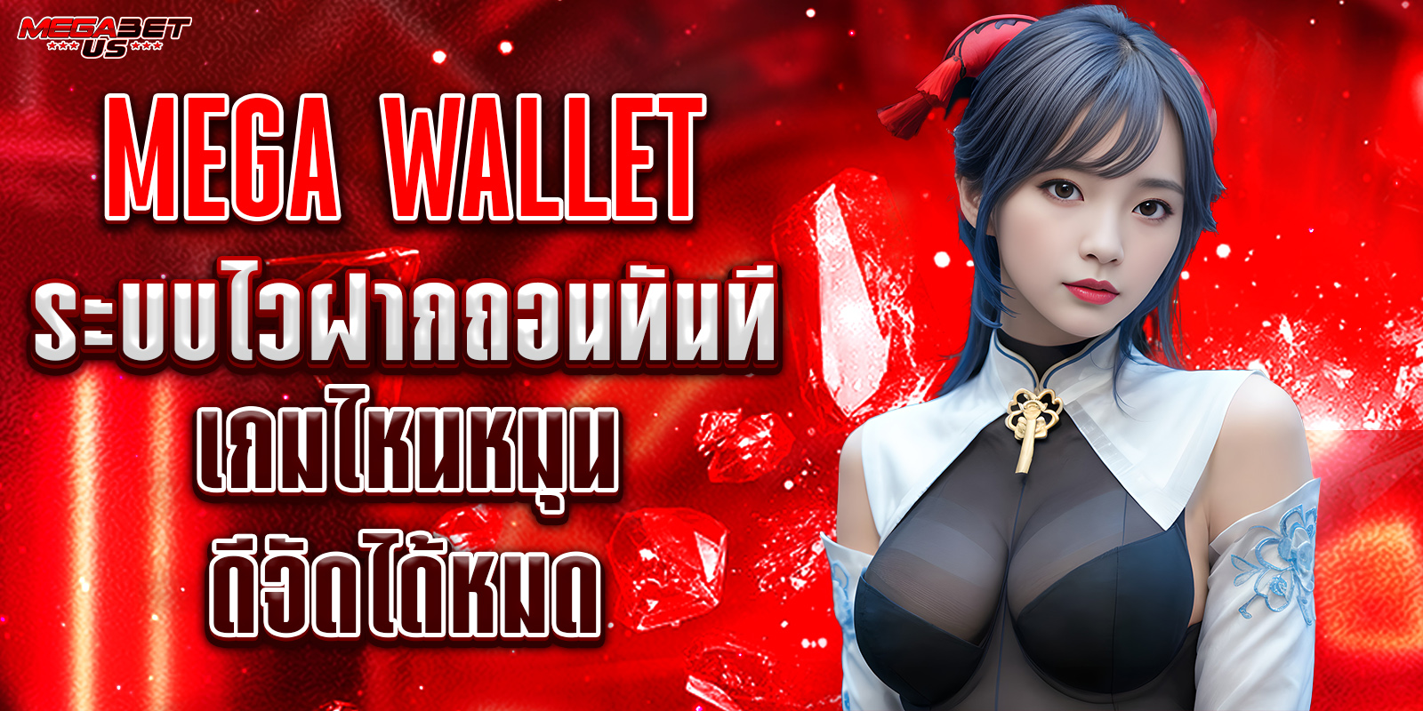 mega wallet